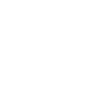 Compliance with International Standards 