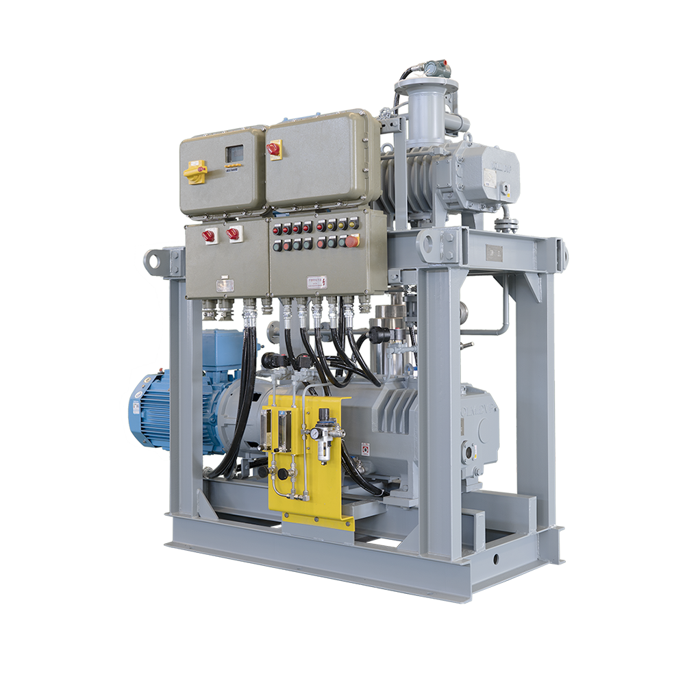 Roots-Screw Vacuum Systems