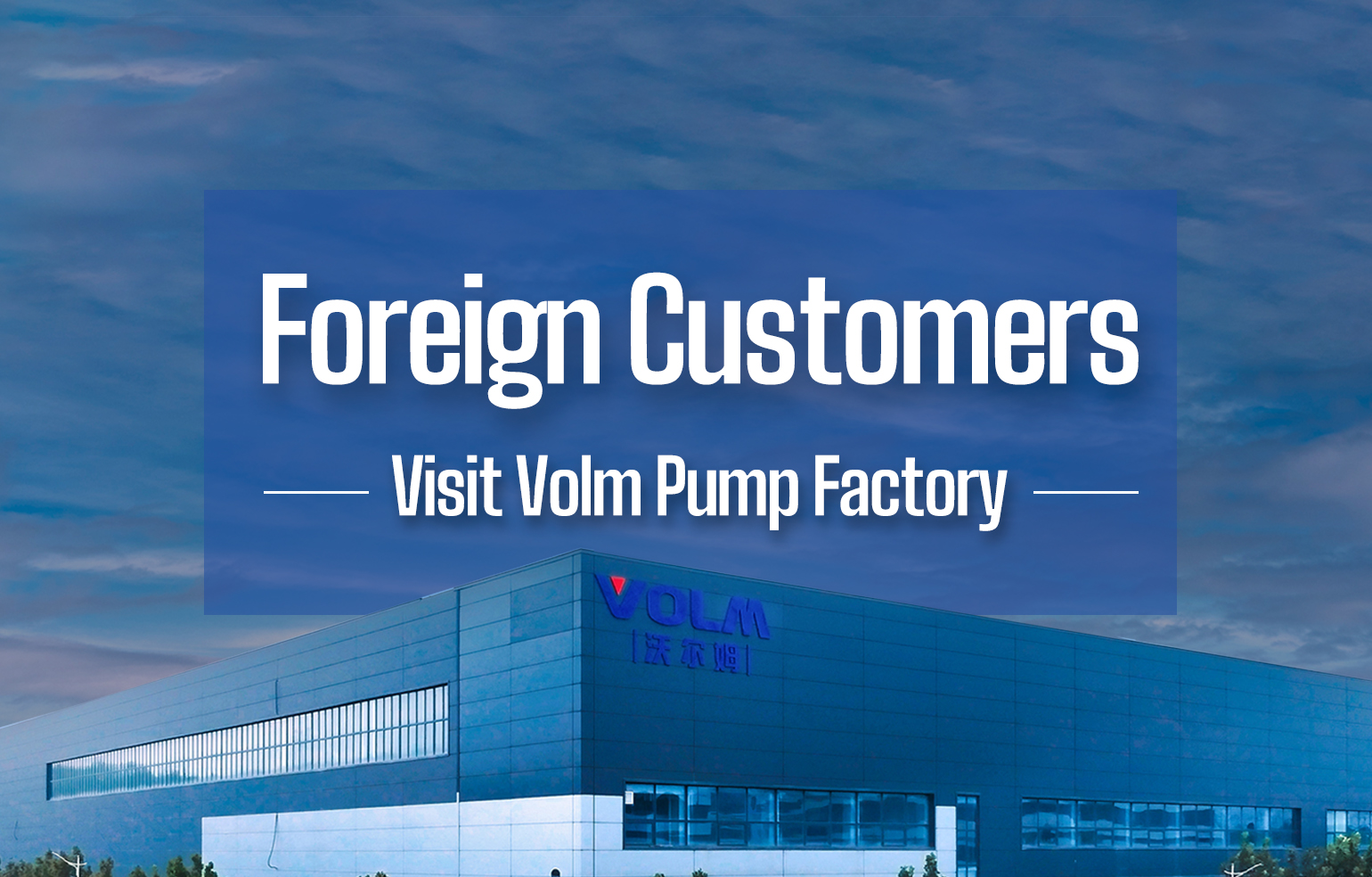 Foreign Customers Visit Volm Pump Factory