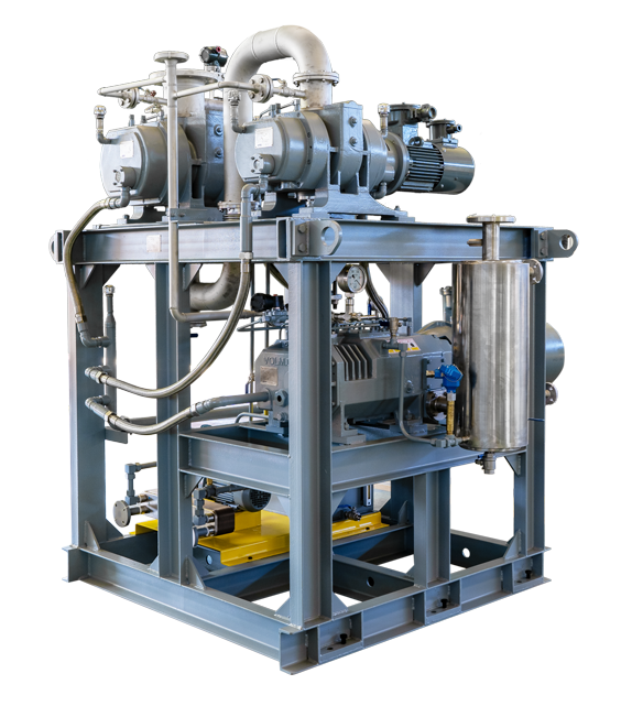 Roots-Screw Vacuum Systems